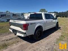 2017 FORD F-150 PLATINUM CREW CAB 4X4 PICKUP VIN: 1FTEW1EG7HFB05871