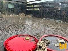 2005 FORD F450 SINGLE AXLE REGULAR CAB STAKE BED TRUCK VIN: 1FDXF46P24EB48177