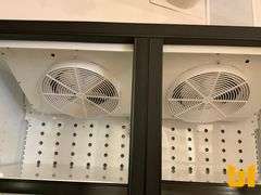 TRUE FLM-54F-T8L01 FREEZER MERCHANDISER