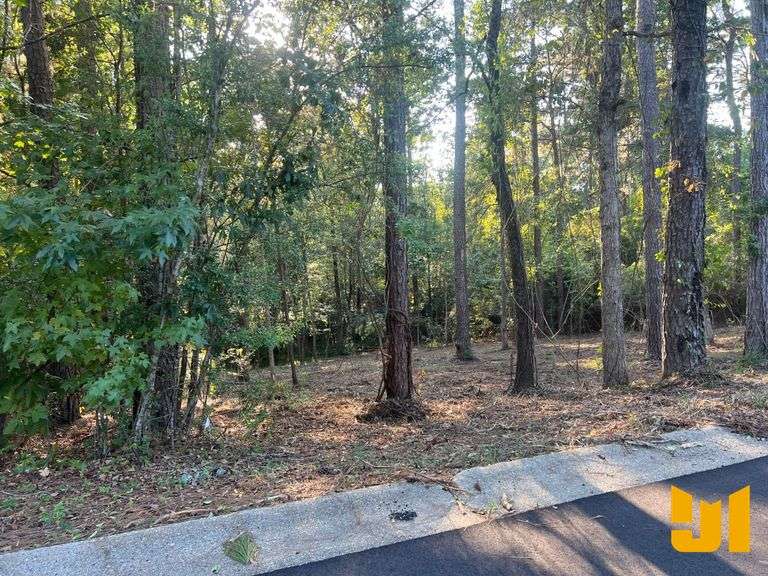 0.28 ACRE +/- LOT IN WELL ESTABLISHED EASTWOOD HEIGHTS SUBDIVISION