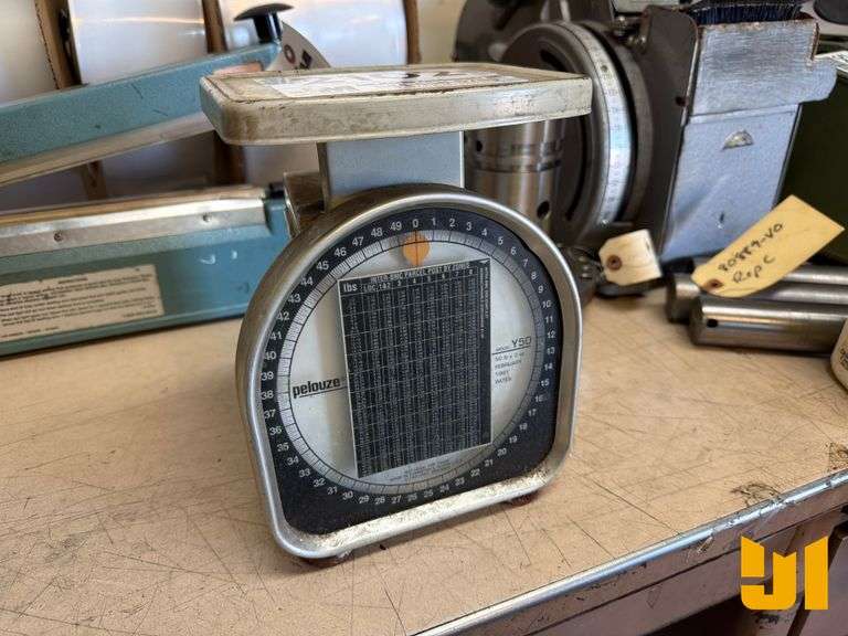 PELOUZE Y50 SCALE
