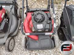 VARIOUS BRANDS PUSH MOWER