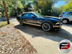 2007 FORD MUSTANG VIN: 1ZVHT85HX75318628
