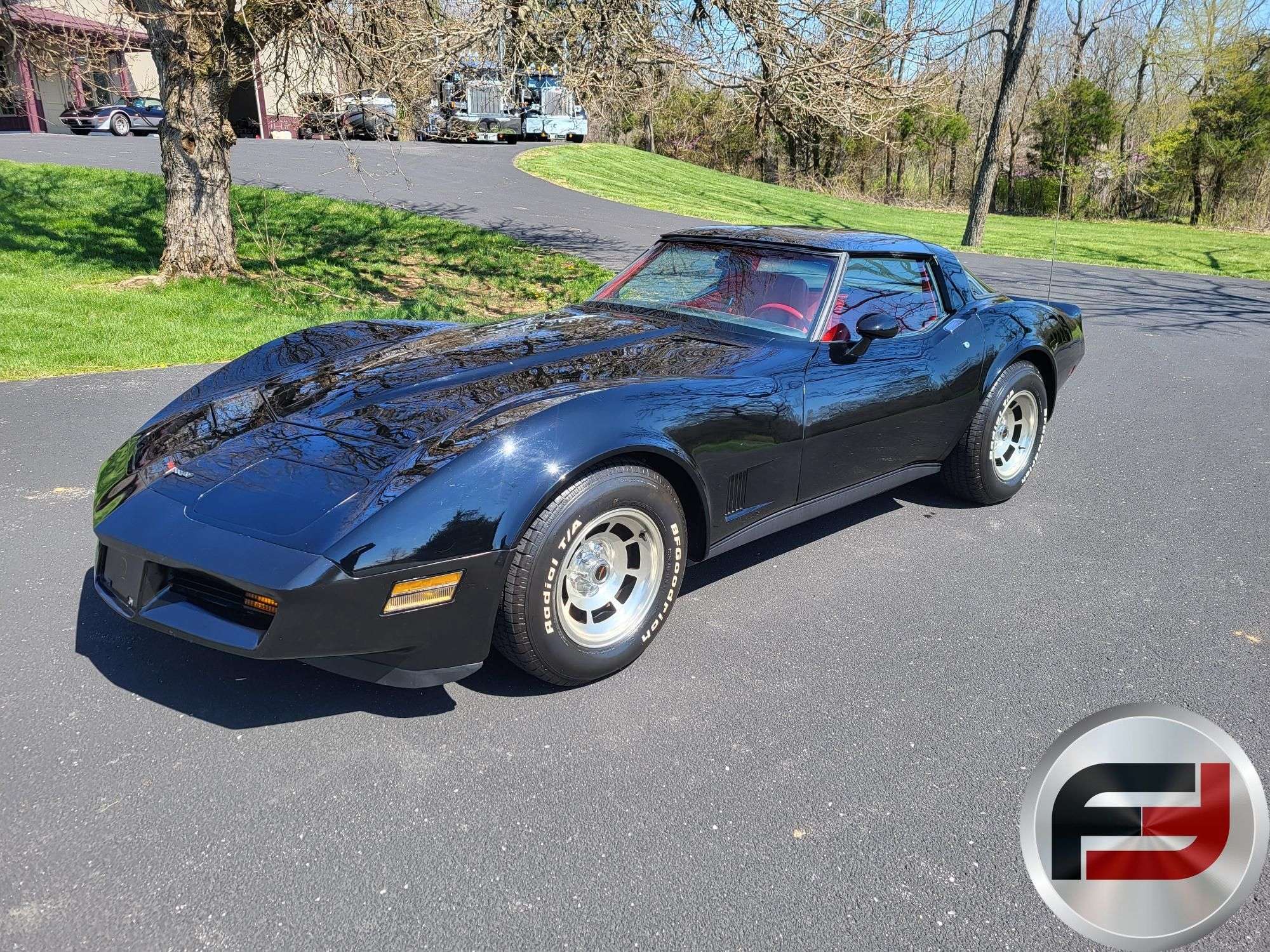 1981 CHEVROLET CORVETTE VIN: 1G1AY8769BS403500 T-TOP - Freije