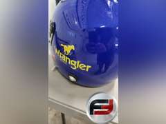 DALE EARNHARDT JR. SIGNED HELMET, HAS DALE EARNHARDT JR AUTHENTICITY