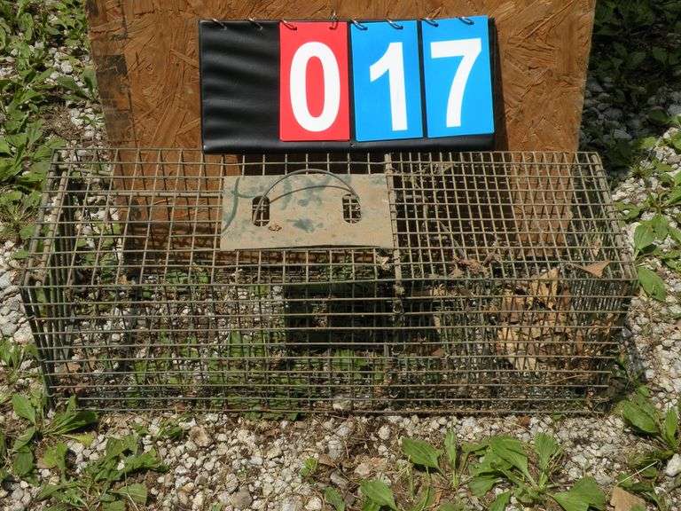 Live Animal Trap, 9”x9”x26”