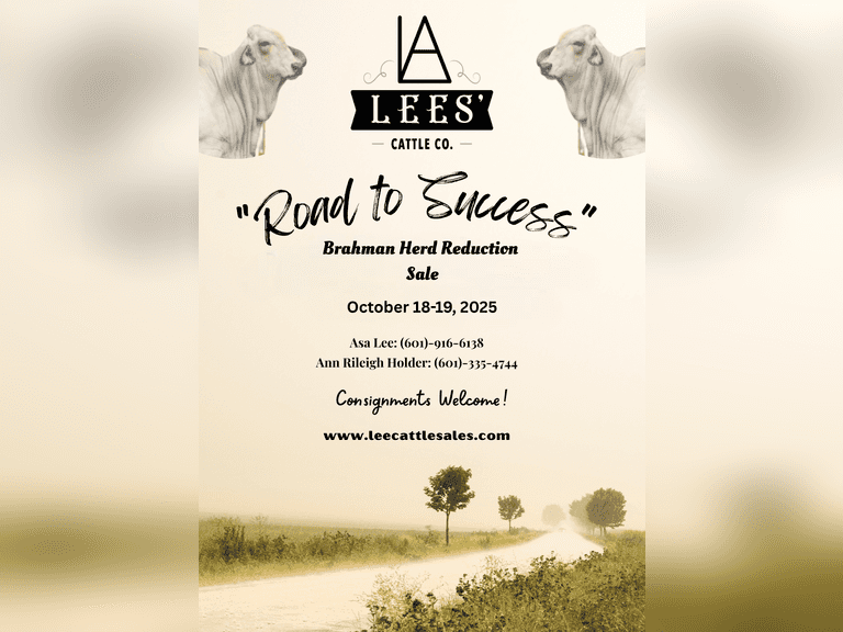 "Road to Success" Replacement Brahman Online Sale
