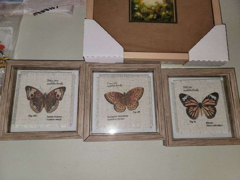 Collection of Framed Butterfly art and shower curtain