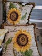 Decorative Pillows