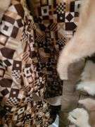 Vintage Freeman Furs Amazing leather and fur coat