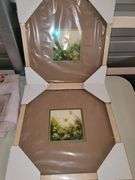 Collection of Framed Butterfly art and shower curtain