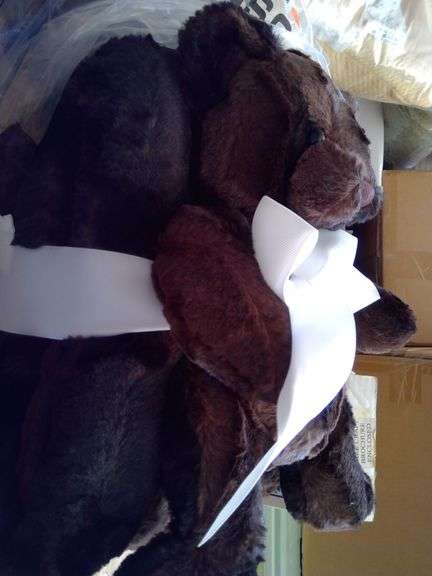 New Plush Blanket and Teddy Bear