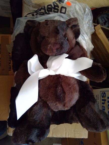 New Plush Blanket and Teddy Bear