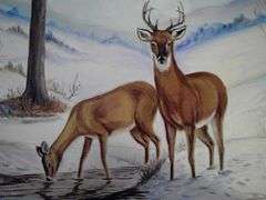 Dorothy Clark Signed Oil Painting