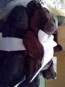 New Plush Blanket and Teddy Bear