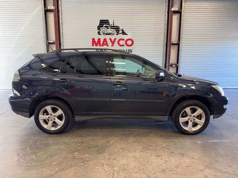 2004 LEXUS RX