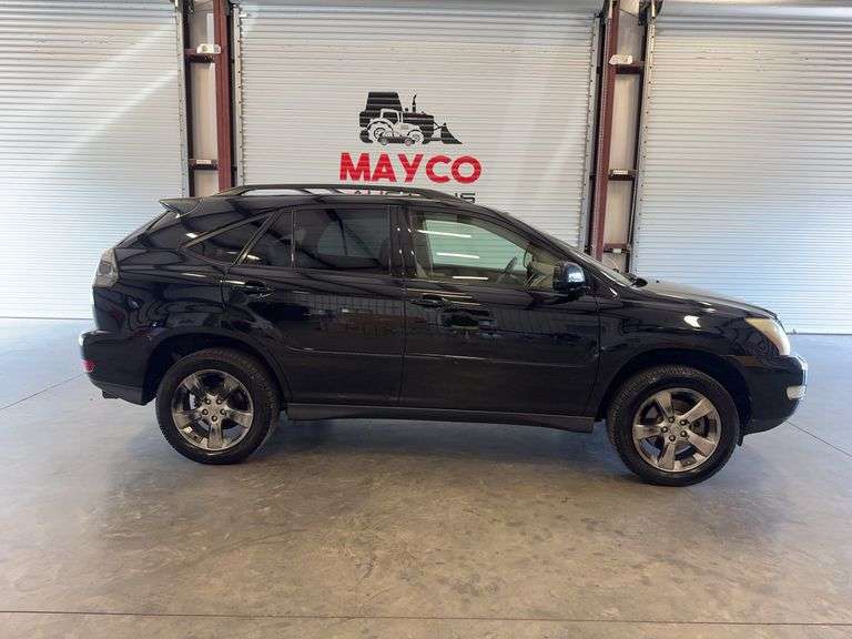 2004  LEXUS  RX