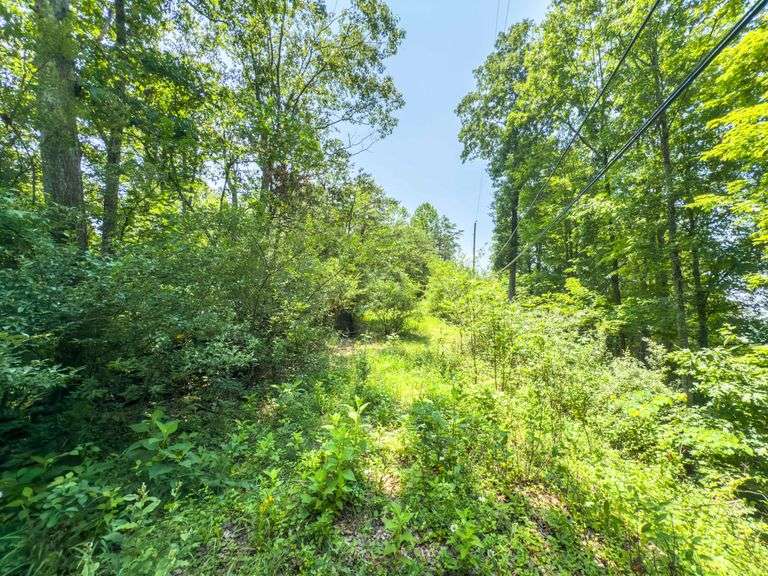 Beane Ridge Rd - 7.1 Acres - Kanawha Co., WV Under Contract