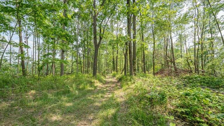 Cox Rd. Multi-parcel Auction. Hocking County, OH