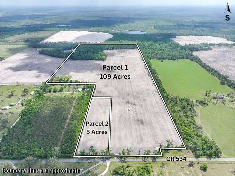 County Rd. 534 - 114 Acres - Lafayette County, FL