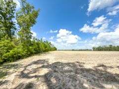County Rd. 534 - 114 Acres - Lafayette County, FL