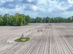 County Rd. 534 - 114 Acres - Lafayette County, FL