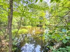 Beane Ridge Rd - 7.1 Acres - Kanawha Co., WV Under Contract