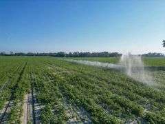 County Rd. 534 - 114 Acres - Lafayette County, FL