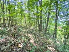 Beane Ridge Rd - 7.1 Acres - Kanawha Co., WV Under Contract