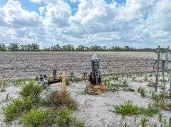 County Rd. 534 - 114 Acres - Lafayette County, FL