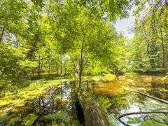 Beane Ridge Rd - 7.1 Acres - Kanawha Co., WV Under Contract