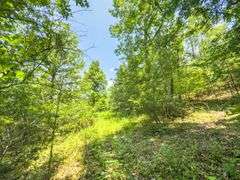 Beane Ridge Rd - 7.1 Acres - Kanawha Co., WV Under Contract