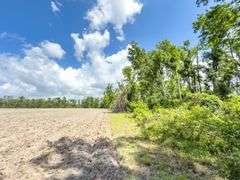County Rd. 534 - 114 Acres - Lafayette County, FL
