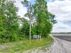 County Rd. 534 - 114 Acres - Lafayette County, FL