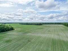 County Rd. 534 - 114 Acres - Lafayette County, FL
