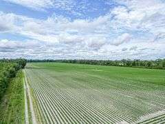 County Rd. 534 - 114 Acres - Lafayette County, FL