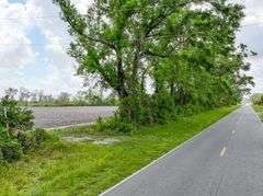 County Rd. 534 - 114 Acres - Lafayette County, FL
