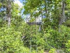 County Rd. 534 - 114 Acres - Lafayette County, FL