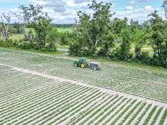 County Rd. 534 - 114 Acres - Lafayette County, FL