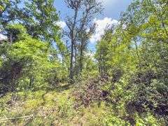 County Rd. 534 - 114 Acres - Lafayette County, FL