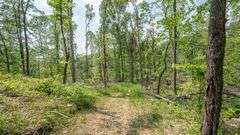 Cox Rd. Multi-parcel Auction. Hocking County, OH