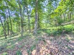 Beane Ridge Rd - 7.1 Acres - Kanawha Co., WV Under Contract