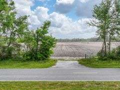 County Rd. 534 - 114 Acres - Lafayette County, FL