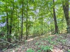Beane Ridge Rd - 7.1 Acres - Kanawha Co., WV Under Contract