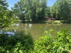 Wednesday, July 23 at 12noon - 5570 Wynn Rd. Springfield, Ohio