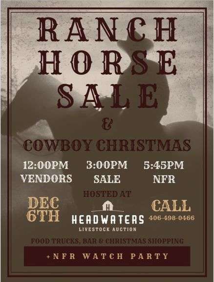 Ranch Horse Sale 
