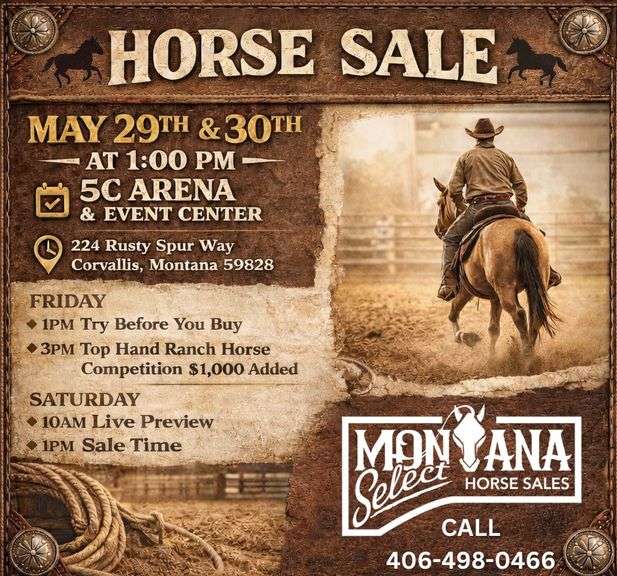 Montana Select Horse Sale