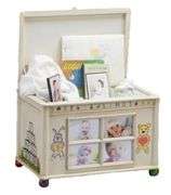 Baby's First Life Chest