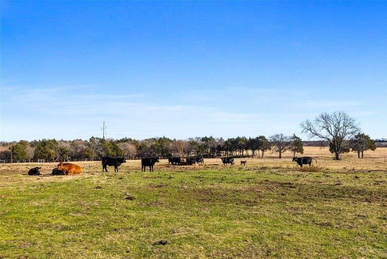 T-13415 US Hwy 377, Gordonville TX 76245 = 13.415+/- Acres