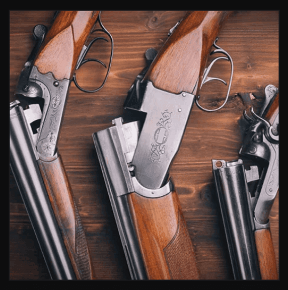 GunSale.Bid
